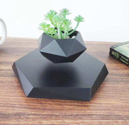 Aevor Hoverwood levitating plant
