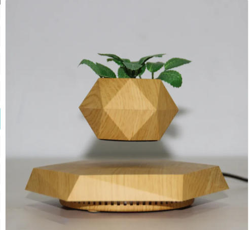 Aevor Hoverwood levitating plant