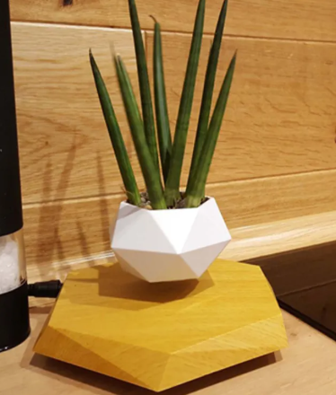 Aevor Hoverwood levitating plant